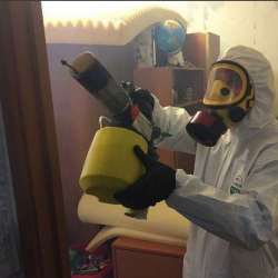 Уничтожение клопов в квартире. Монино